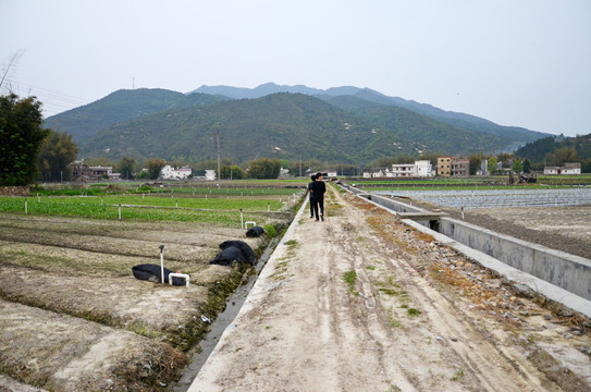 农村蔬菜种植