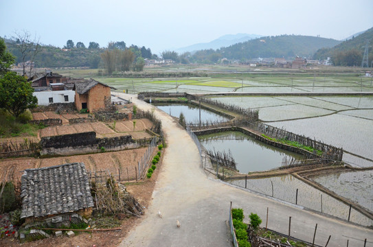 乡村道路