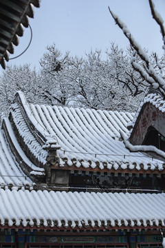 颐和园雪景