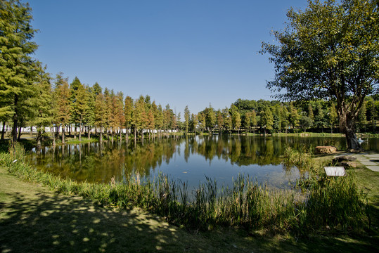 青秀山公园