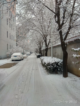 雪景