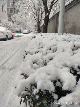 雪