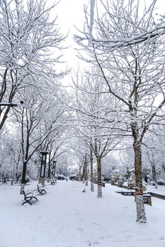 雪景