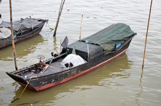 珠江口渔村渔船