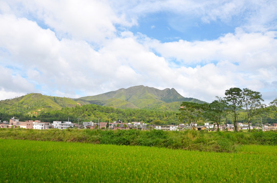 广东农村