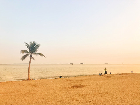 黄昏的厦门环岛路海边沙滩