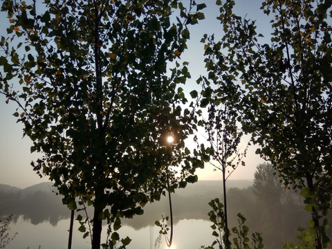 早晨的水面雾气