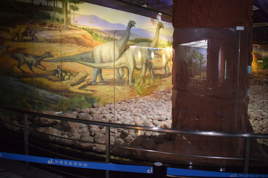 河源恐龙馆恐龙蛋化石图片