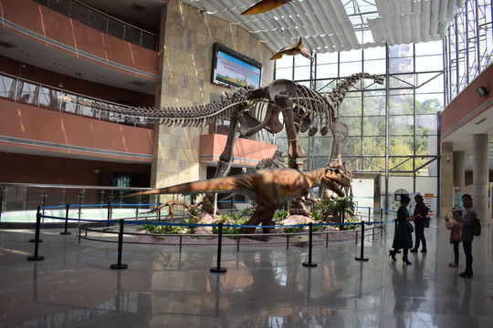 河源恐龙博物馆大厅