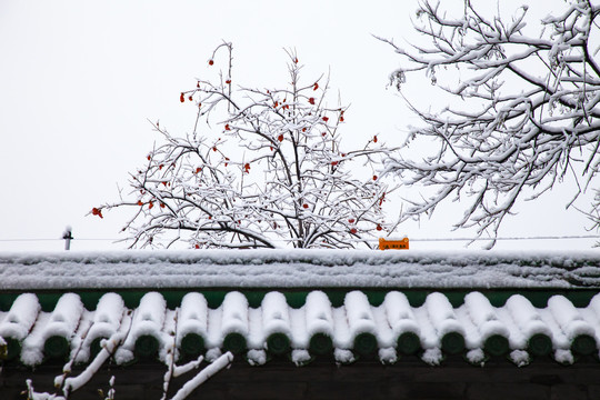 北京雪景