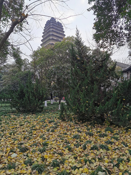 小雁塔