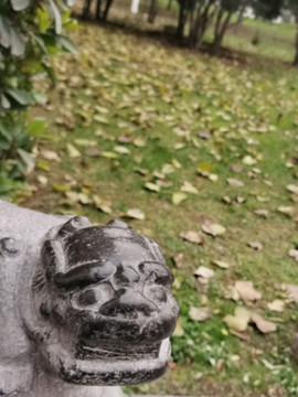 小雁塔