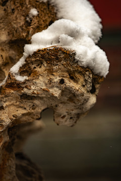 颐和园雪景