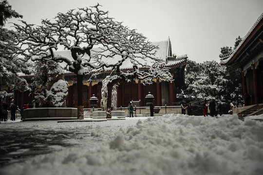 颐和园雪景