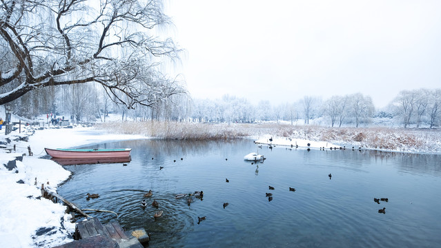 圆明园雪景