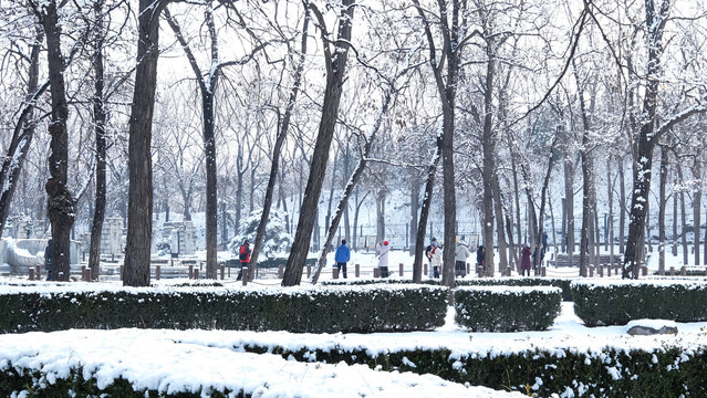 圆明园雪景