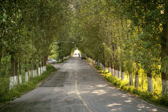 夕阳下的乡间柏油路