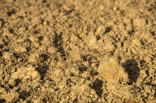 干燥的泥土