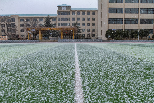 雪后校园风景