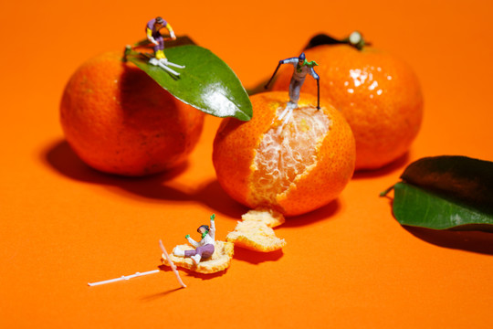 橘子创意摄影