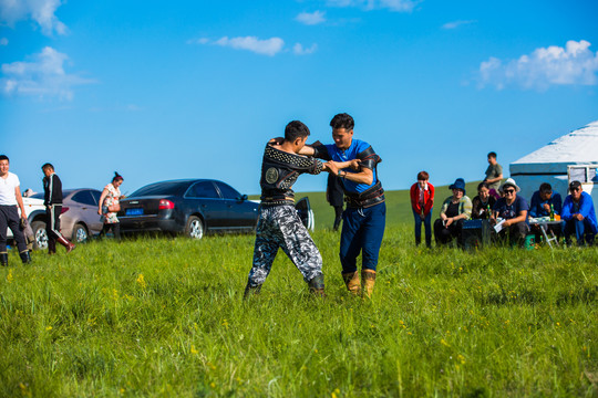 草地上蒙古族摔跤