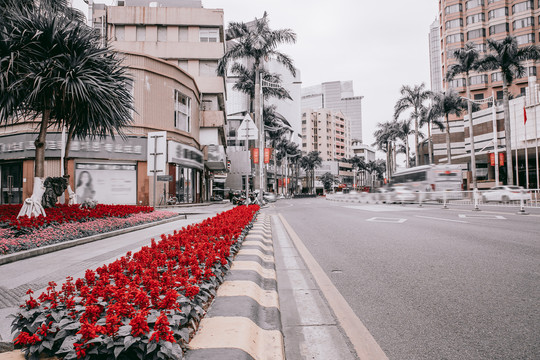 顺德街景