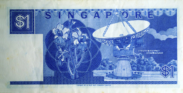 一新加坡元背面