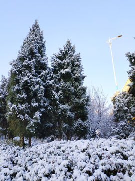雪后