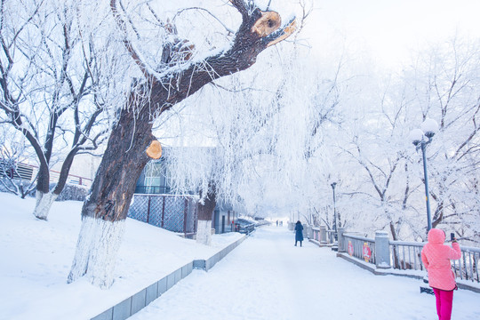 吉林市松花江畔美丽雾凇和游人