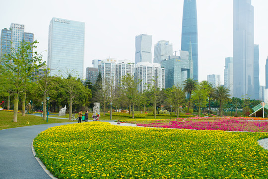 广州公园花草植物景区
