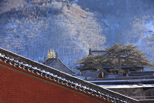 圣境五台山