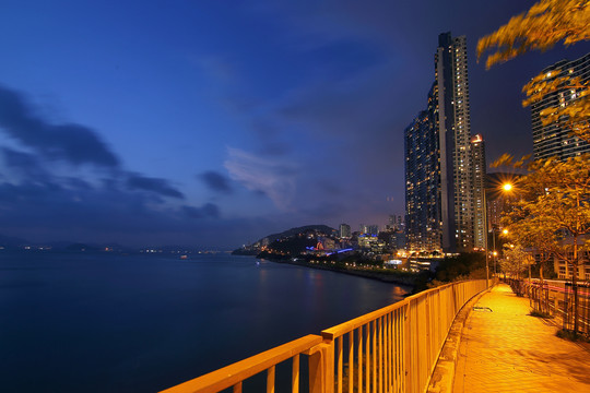 香港数码港城市风光夜景