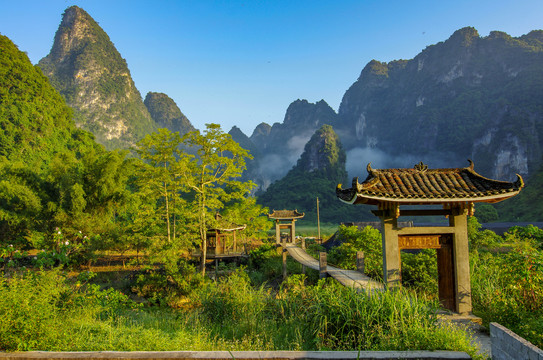 绿色风景