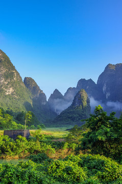 绿色风景