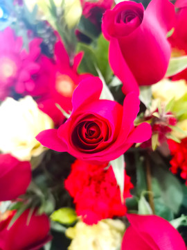 鲜花