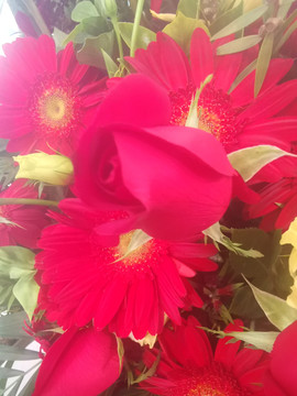 鲜花