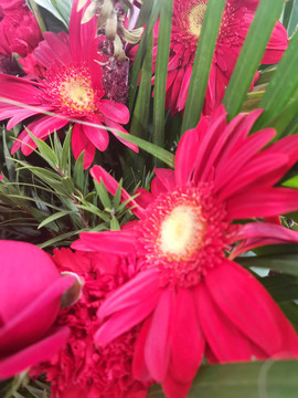 鲜花