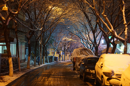 初雪