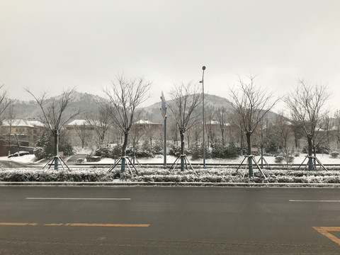 初雪