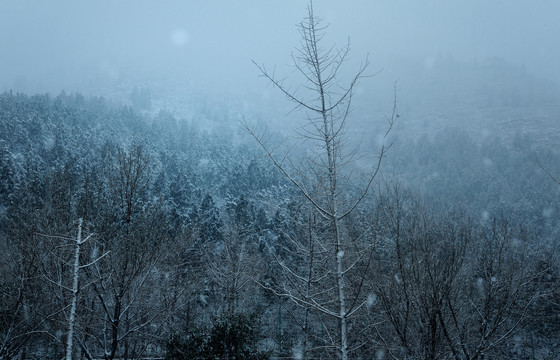 雪景