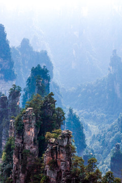 张家界森林公园天门山
