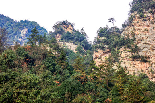 张家界森林公园天门山