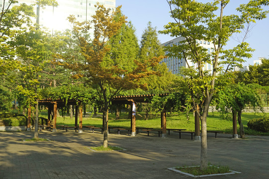 韩国水原孝园公园的露天绿廊