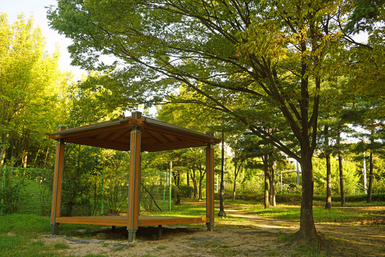 韩国水原孝园公园的传统凉亭
