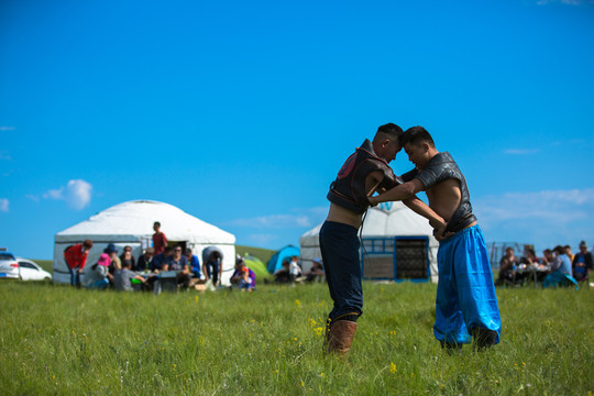 草原蒙古族摔跤
