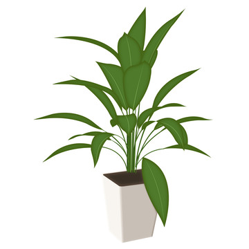 手绘卡通3D绿色植物盆栽插画