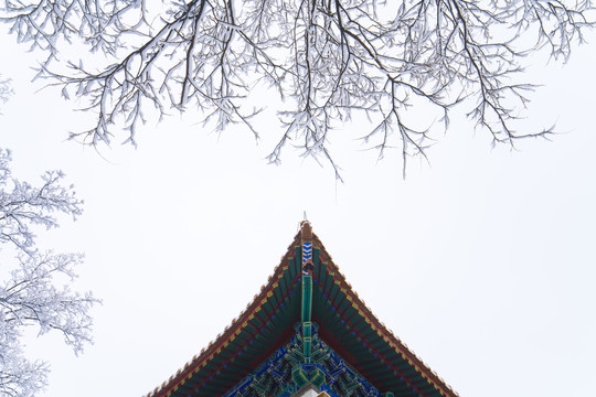 北京颐和园四大部洲景区雪景