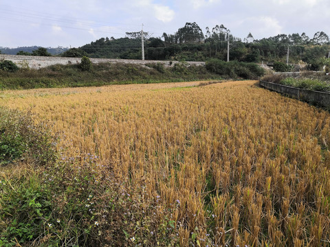 火车铁路铁道