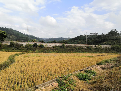 火车铁路铁道