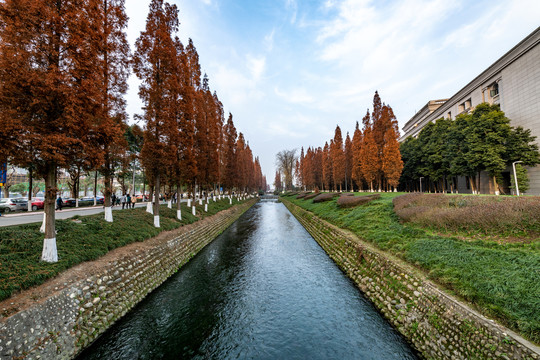 电子科大清水河校区校园